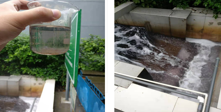 案例二 印染污水脫色案例